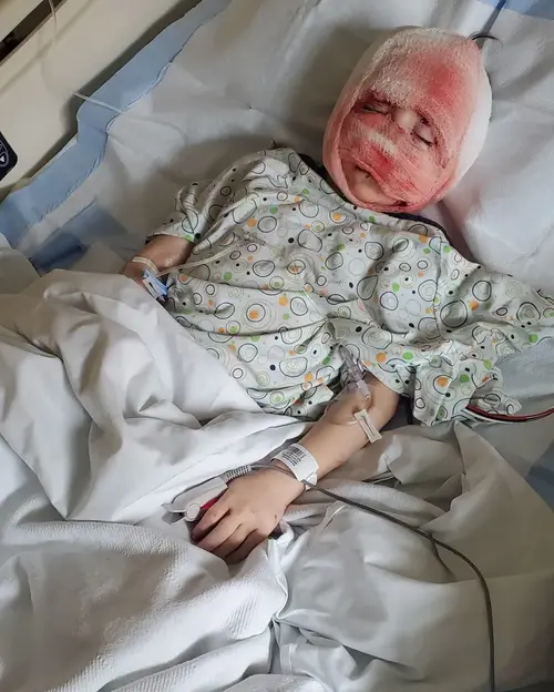 Salve Bernardo - Doando Agora